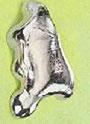 Amostra de platina.