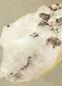 Mineral molibdenita, fonte de rnio.